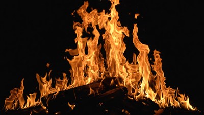 Blazing Campfire Flames on Black Background