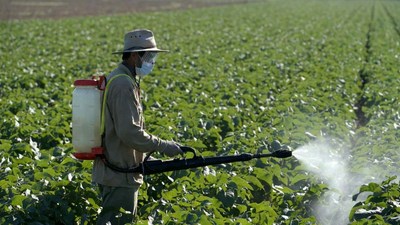 Asian farmer spraying crops with backpack sprayer