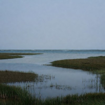 Marshland with winding waterways