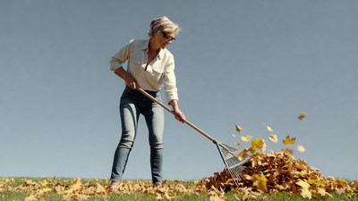 Woman raking fall leaves