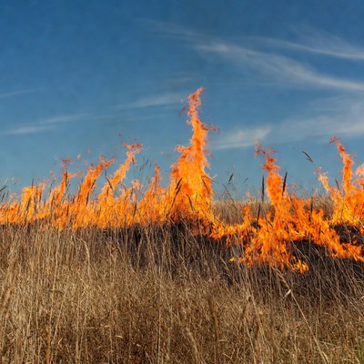 Grass Field Burning Under Blue Sky