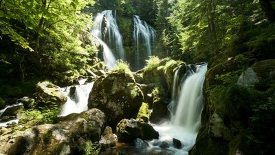 Majestic Waterfall in Lush Forest