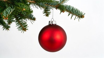 Red Christmas ornament on fir branch