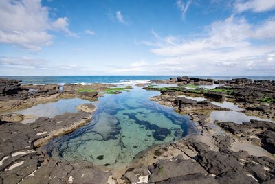 Tidal Pools in Rocky Ocean Shoreline