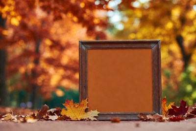Blank Wooden Frame Autumn Leaves