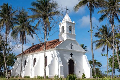 White Church Surrounded by Palm Trees