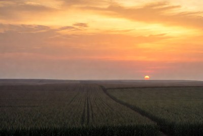 Sunset over plowed fields