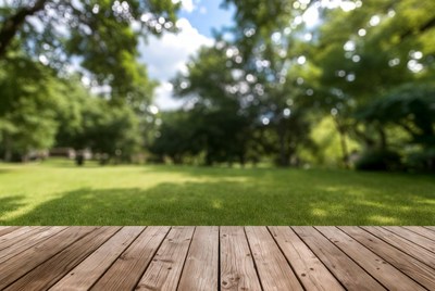 Wooden Deck Overlooking Blurred Park