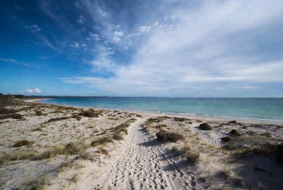 Sandy path to turquoise beach
