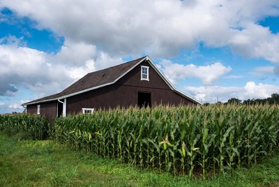 Red Barn in Corn Field