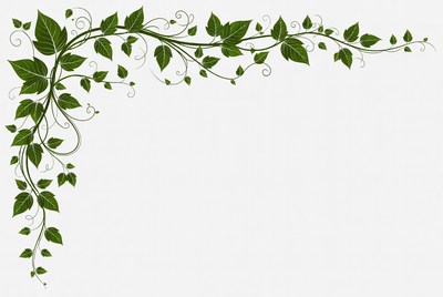 Green Ivy Vine Corner Border