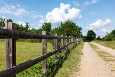 Wooden fence along dirt path