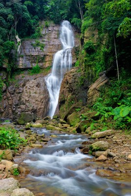 Tall waterfall cascading in lush rainforest
