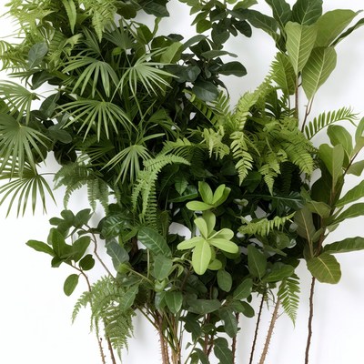 Lush green tropical plants arrangement