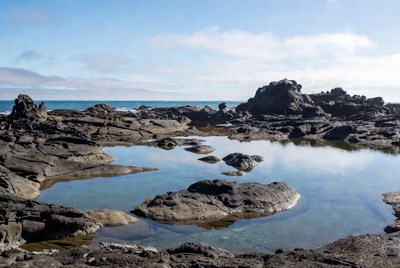 Rocky Tidal Pools by Ocean