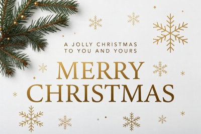 Merry Christmas greeting with fir branch