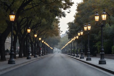 Tree-Lined Street with Glowing Street Lamps