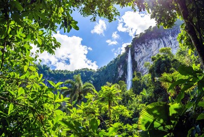 Majestic Waterfall in Tropical Jungle