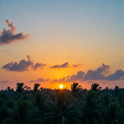 Sunset over Palm Trees