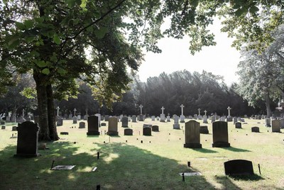 Cemetery with gravestones under trees