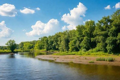 River with green trees and blue sky
