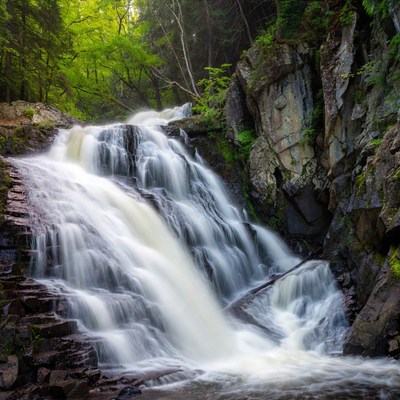Cascading Waterfall in Lush Forest
