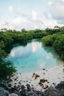 Turquoise Cenote Surrounded by Mangroves