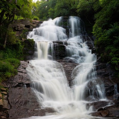 Majestic waterfall cascading in green forest