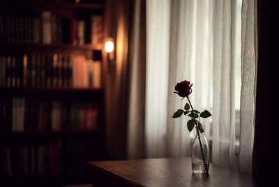 Red Rose in Vase on Table