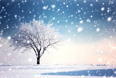 Snowy Tree in Winter Blizzard