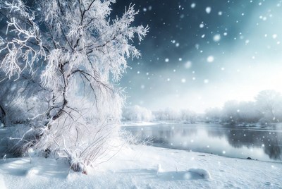 Snowy Tree by Frozen River