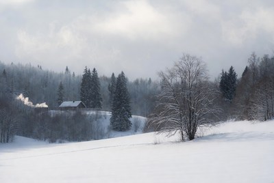 Snowy Cabin in Forest Landscape