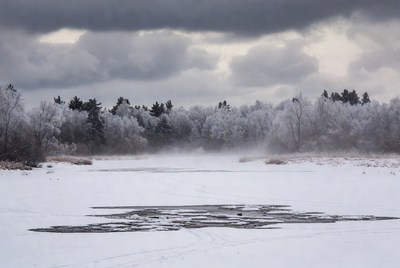 Frosty Trees Over Snowy Lake