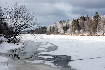 Frozen River in Snowy Forest