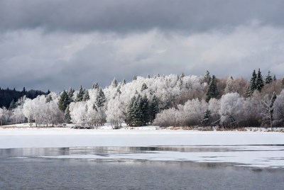 Snowy Trees by Frozen Lake