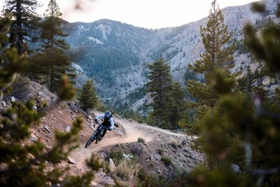 Mountain biker riding trail