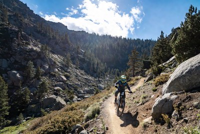 Mountain biker riding trail