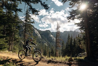 Mountain biker riding trail