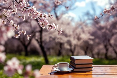 Books and Tea on Table with Cherry Blossoms