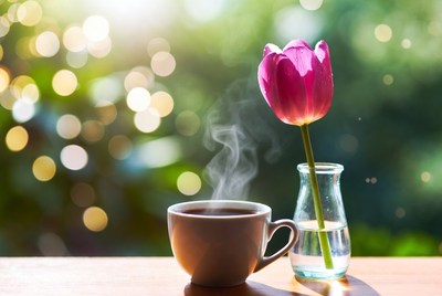 Coffee Cup and Pink Tulip