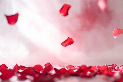 Falling Red Rose Petals