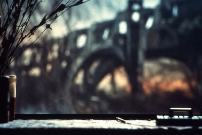 Dried branches in vase by window