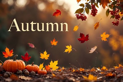 Autumn Pumpkins and Falling Leaves