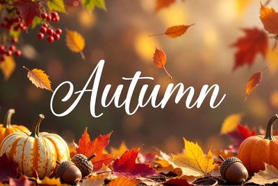Autumn Leaves Pumpkins Acorns