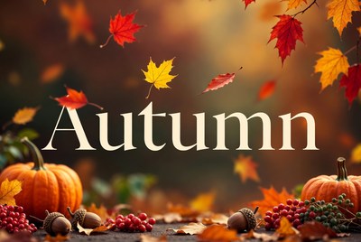 Autumn Leaves Pumpkins Acorns