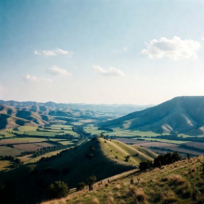 Scenic Rolling Hills Landscape