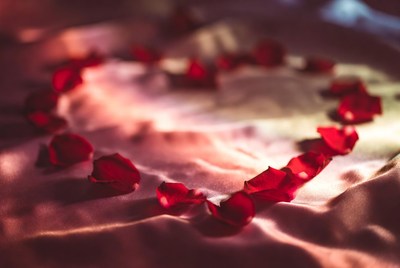 Red Rose Petals Forming Heart