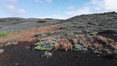 Volcanic Landscape with Sparse Vegetation