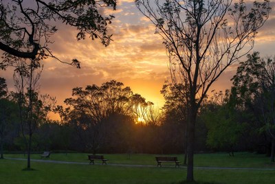 Sunset over park benches and trees