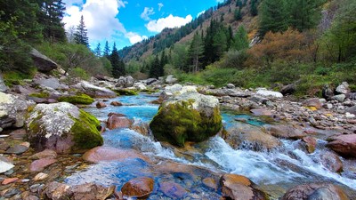 Mountain Stream Flowing Through Forest Valley